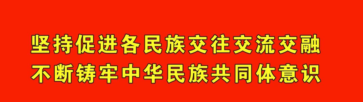 尼勒克县第二小学足球比赛,尼勒克县第二小学足球赛