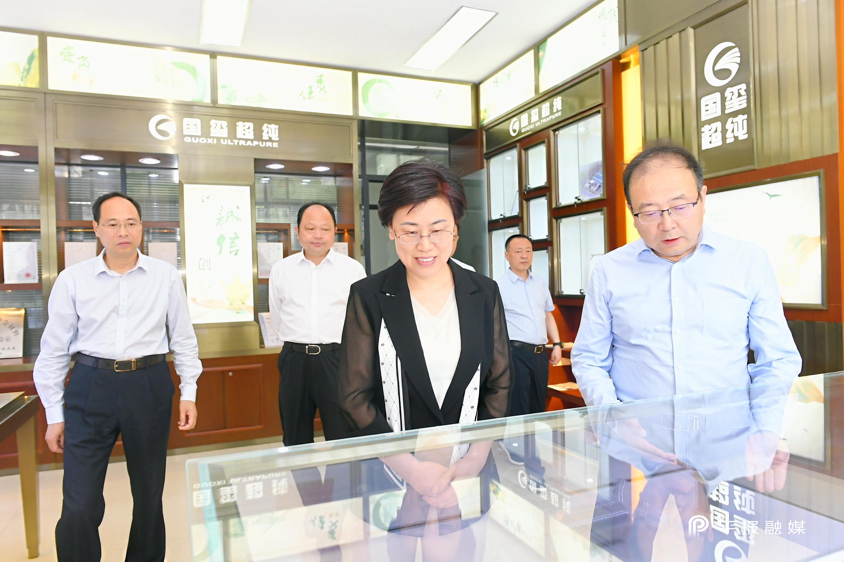 ​陈向平在宝丰县调研时强调：以改革创新推动产业向强向新加速迈进全国“百强县”行列