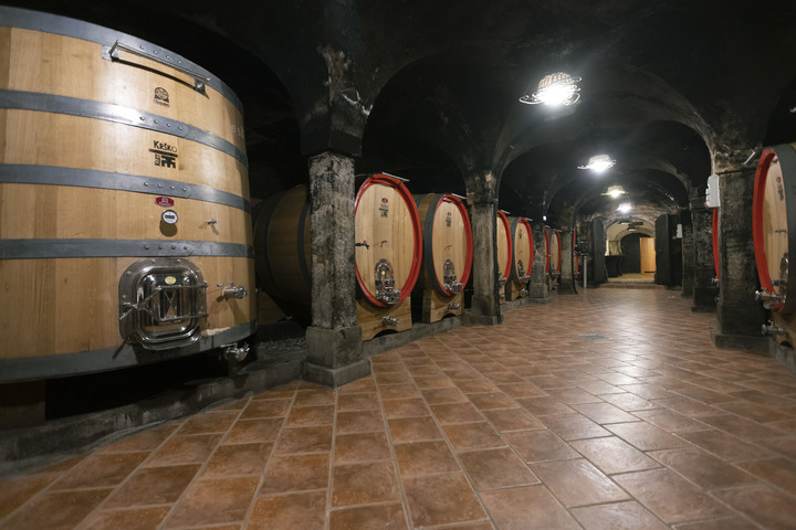 爱情、橡树和摇篮的故事，尽在酒中——探访斯洛文尼亚克莱特克尔什科酒窖