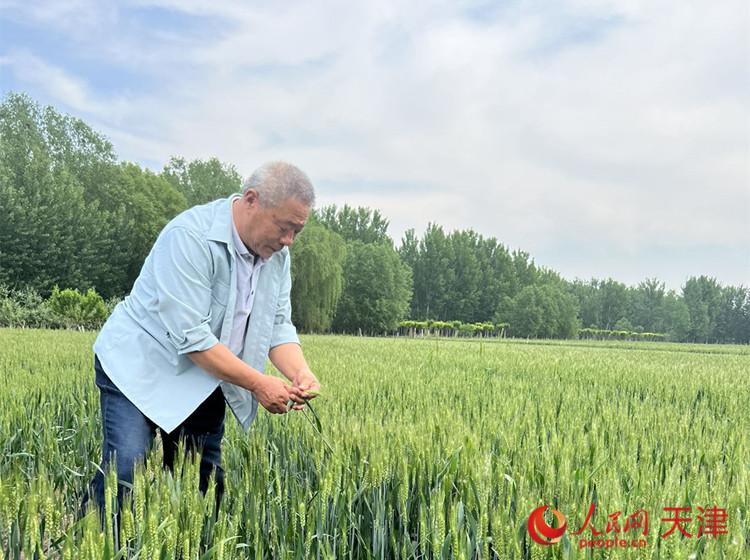 天津工作提出三个着力,天津过去的五年是砥砺奋进的五年