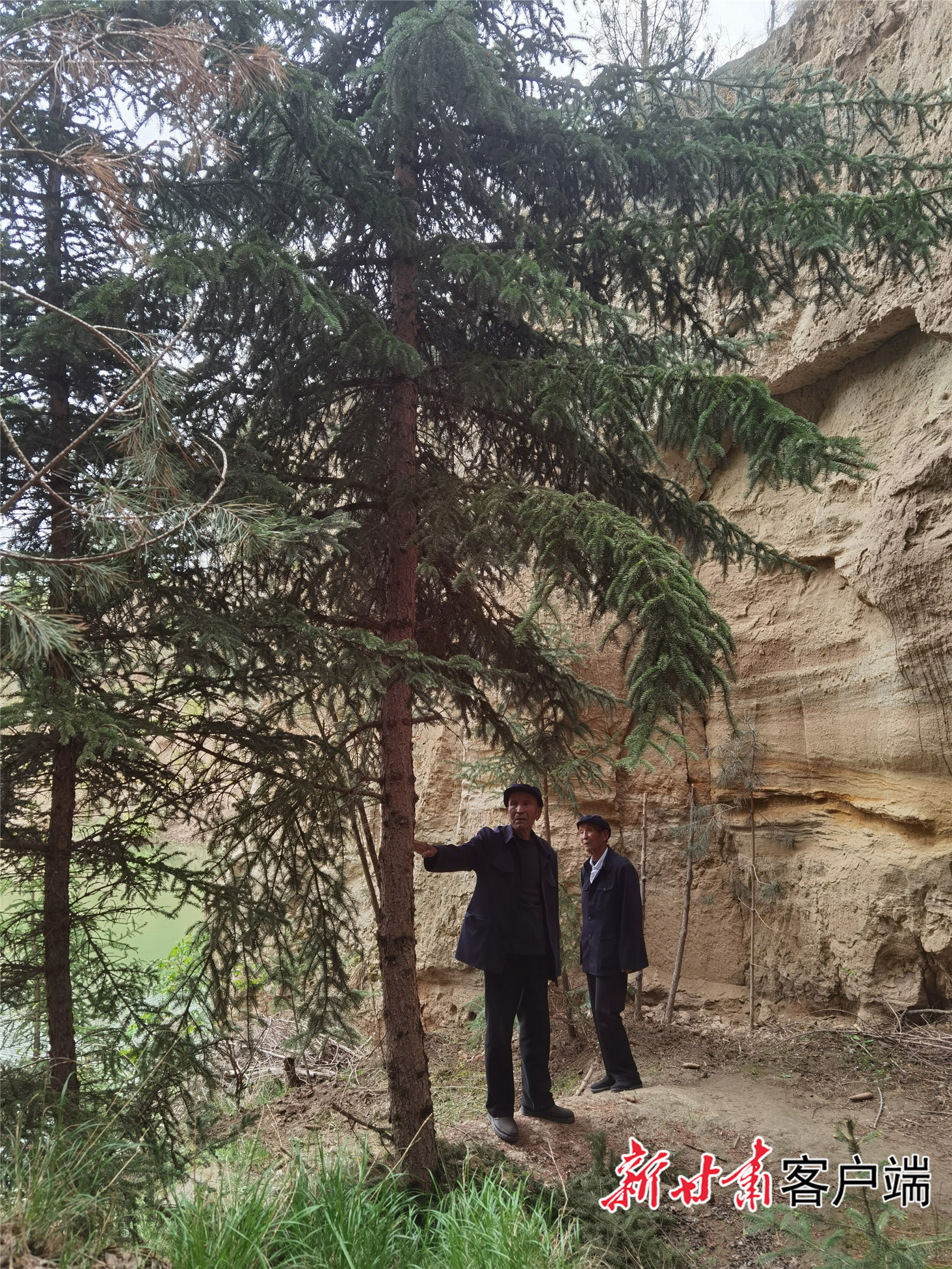 山上种树心底开花——老农“刚强兄弟”的丰厚人生