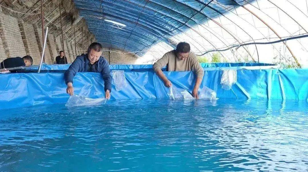 牛塘附近小龙虾,牛寨小龙虾