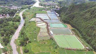 青年人回家创业,年轻人回乡创业趋势