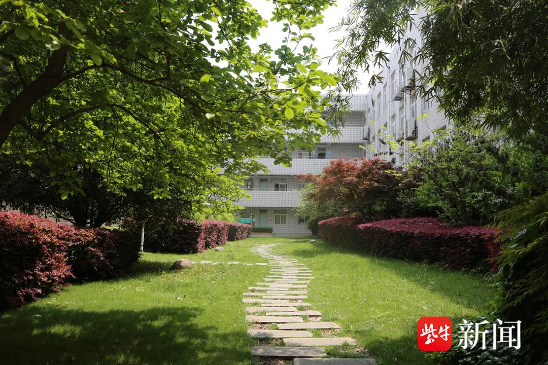 奋跃而上教学,奋跃而上女声完整版