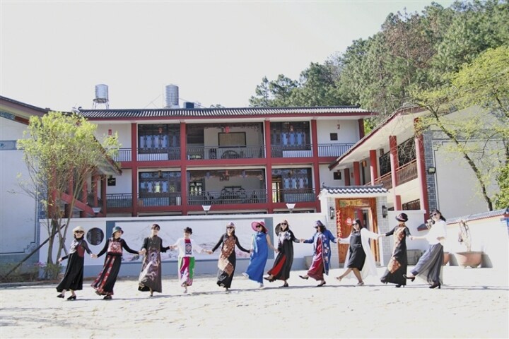 美丽庭院建设效果,美丽庭院特色亮点