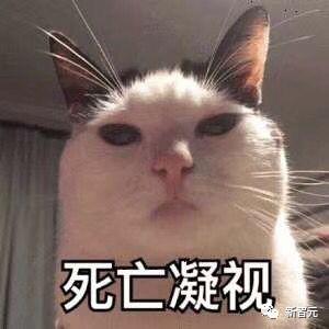 首周*载下**量碾压ChatGPT！谷歌20年老员工叛逃，创立第二个OpenAI？