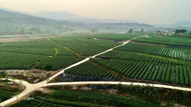 寻找100位寒门学子爱心助学,寻找励志学子每人奖1万