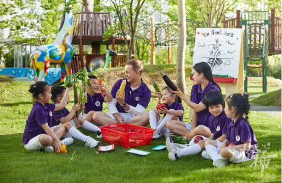 英式马术障碍赛儿童,马术儿童障碍赛