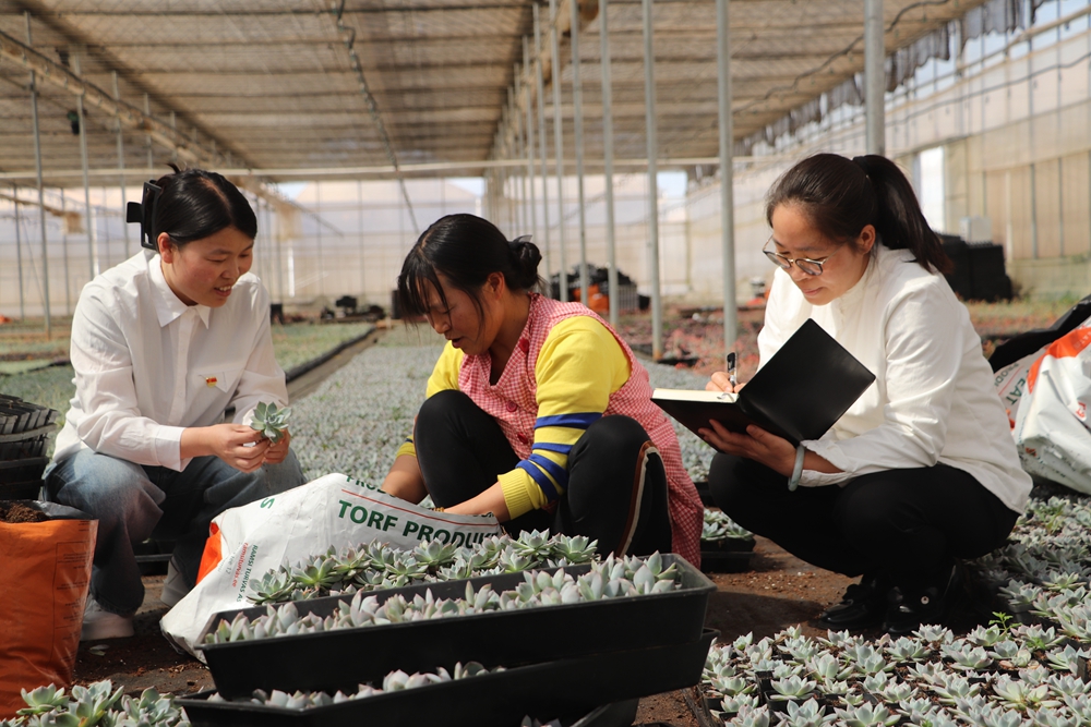 贯彻落实党的二十大精神方案,贯彻落实中央纪委二次全会