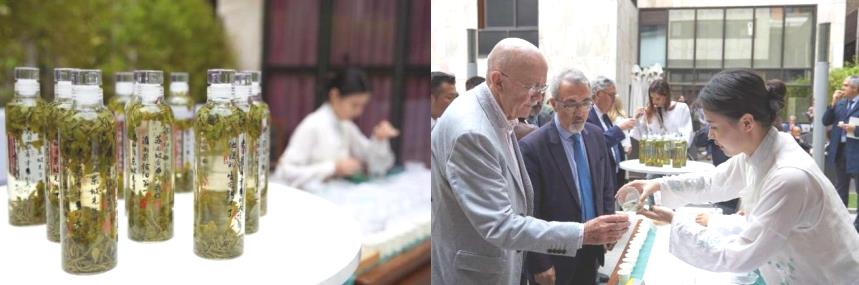 信阳毛尖杭州茶博会,倾城信阳毛尖