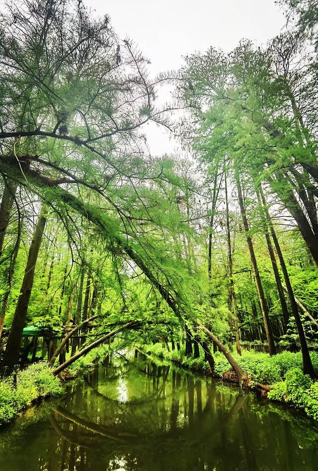 苏中自驾游‖这座城存下了我的一份醉心