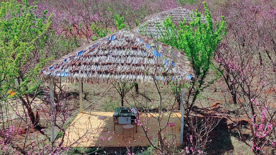 扎根乡村创业,扎根新农村做有志新农人