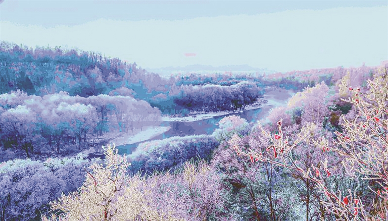 哈洽时间｜逊克打造祖国北陲“兴业富民”新家园