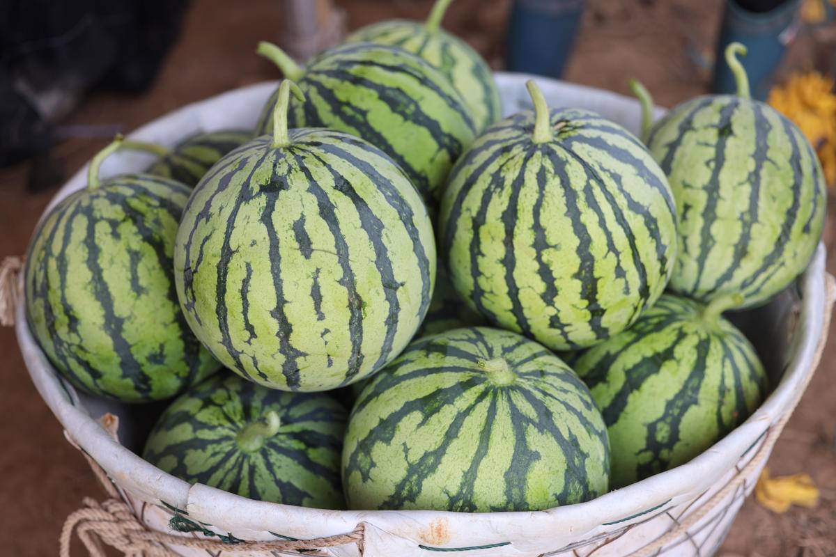 华容区*团蒲**乡，瓜瓜甜到冒泡