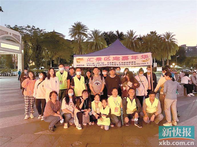 新手养猫如何让你家猫少生病,怎么养猫预防猫生病