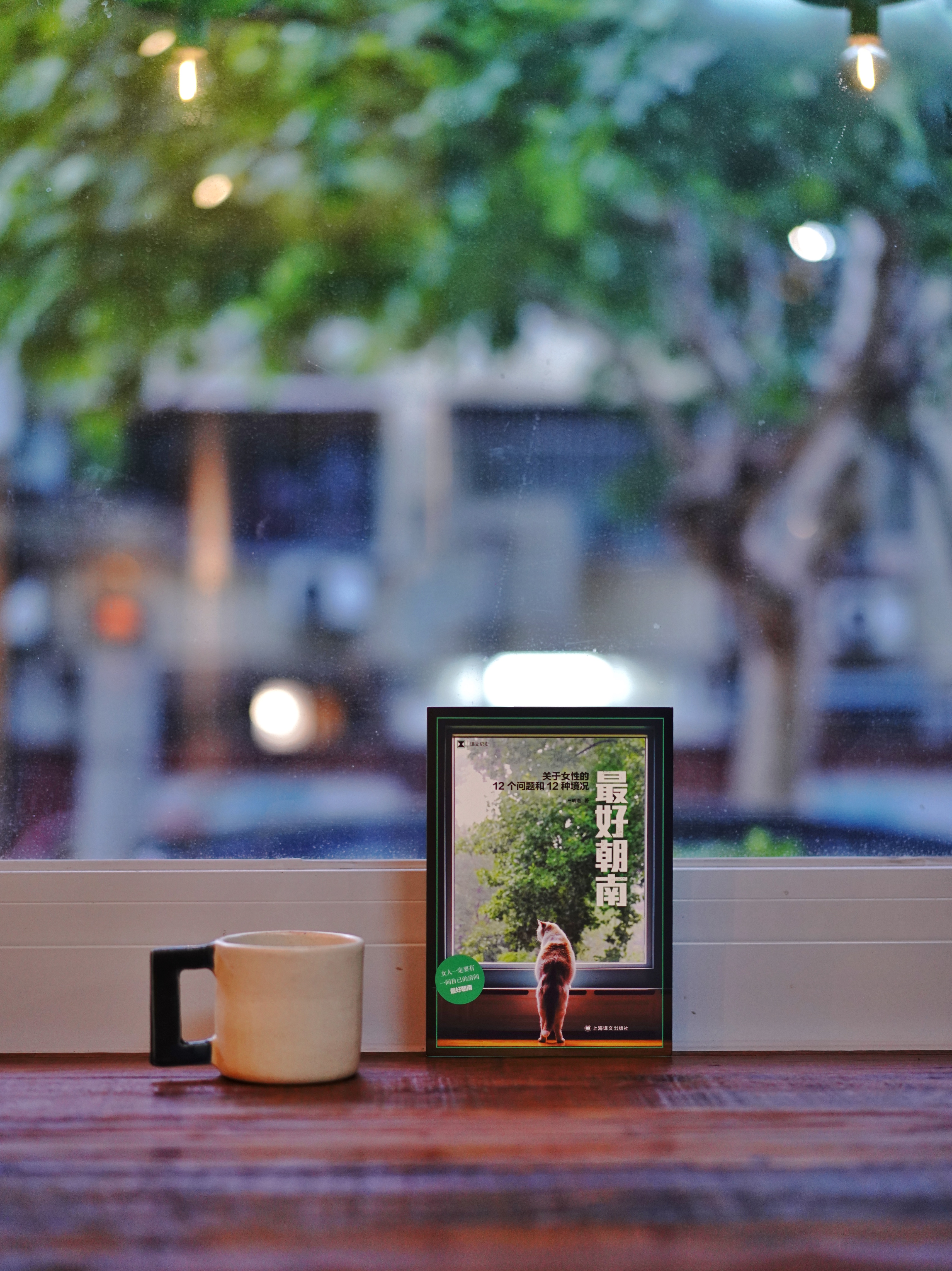 《最好朝南》：女性“第一人称”视角下面临的各种挑战