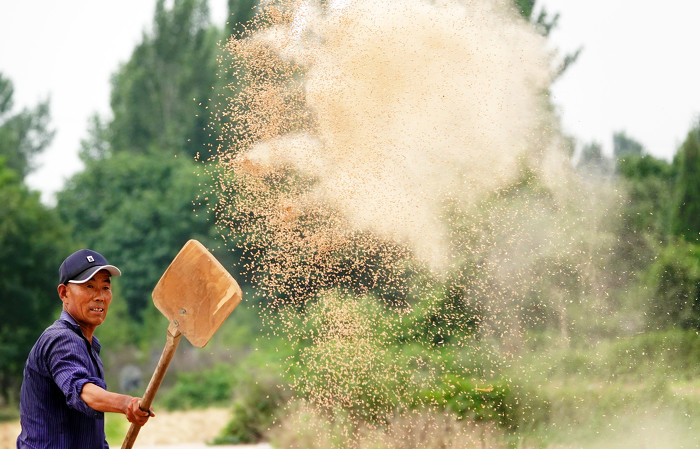 阳城县河道治理工程,阳城县后河巷河道治理
