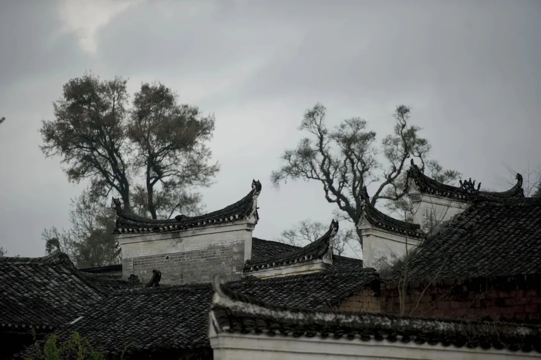 南岛人的祖先来自中国大陆,中国南方人的基因