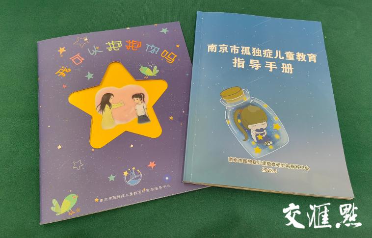 江苏省12所共同体学校,南京孤独症融合学校