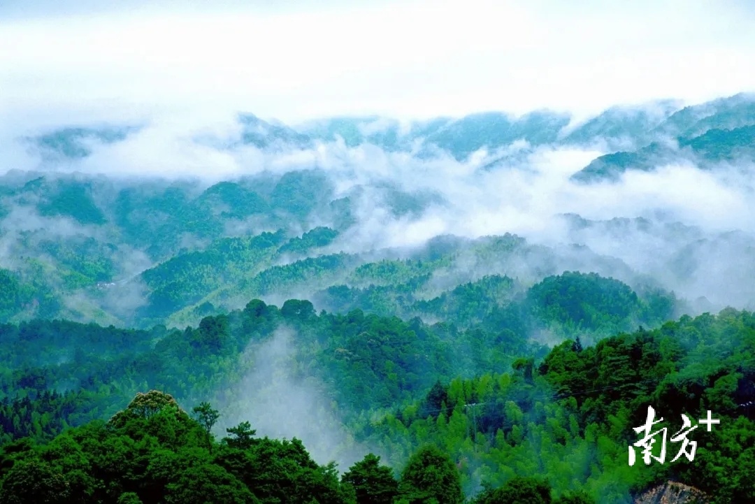 惠州山海经品牌,惠州南昆山旅游美篇