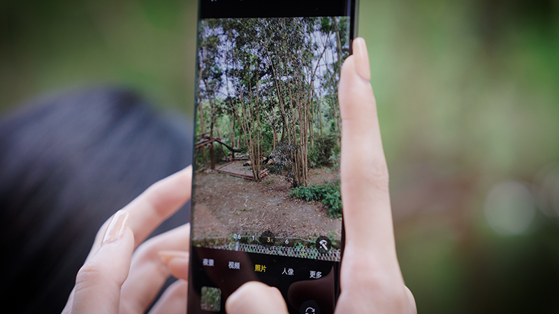 成都夏季周边适合一日游的地方,成都小长假旅游攻略