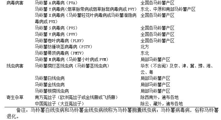 目前马铃薯种植面积是多少,我国马铃薯主要种植区