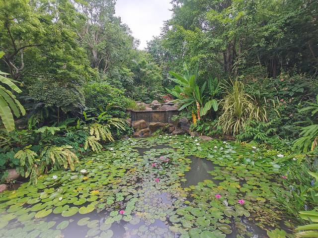 从西双版纳到老挝琅勃拉邦