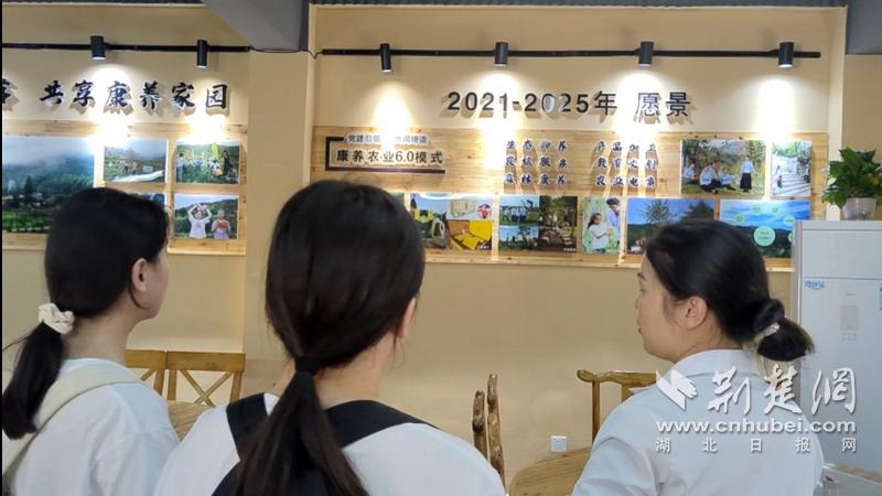 “眼动追踪”助“农产品进城”湖北经济学院深入农产品流通“最初一公里”