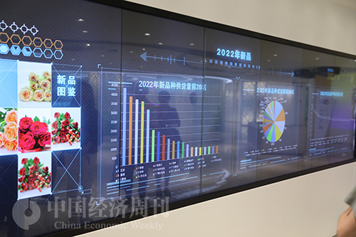 亚洲最大的鲜花交易市场是哪,阿斯米尔鲜花拍卖市场