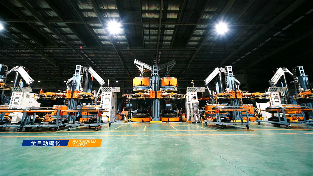 绿动青岛,绿动齐鲁碳路未来