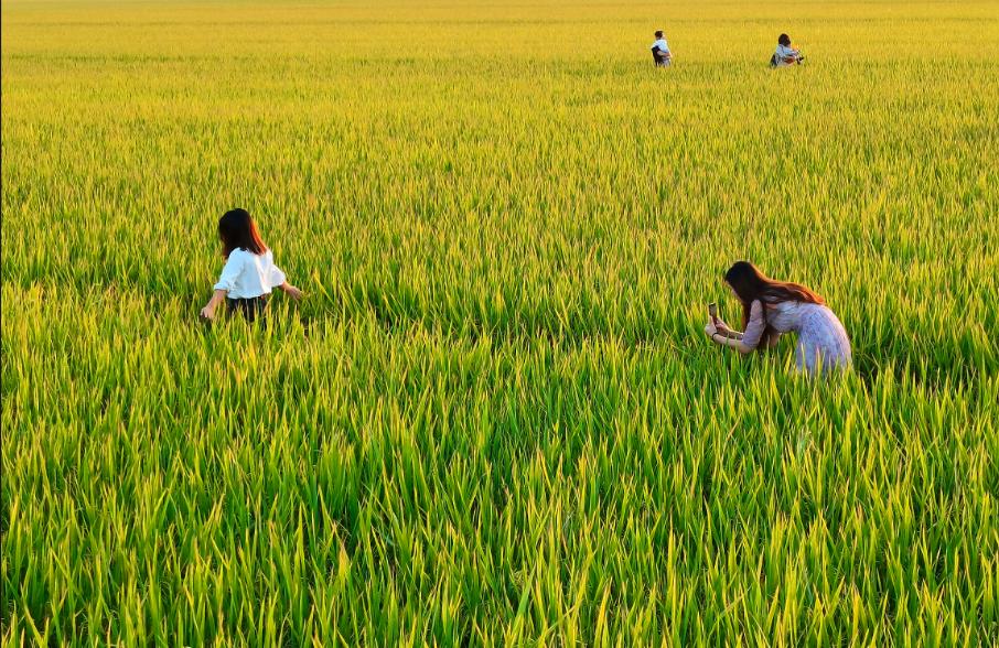 不止“村BA”！东莞10条好看好逛的线路，本地人也爱去