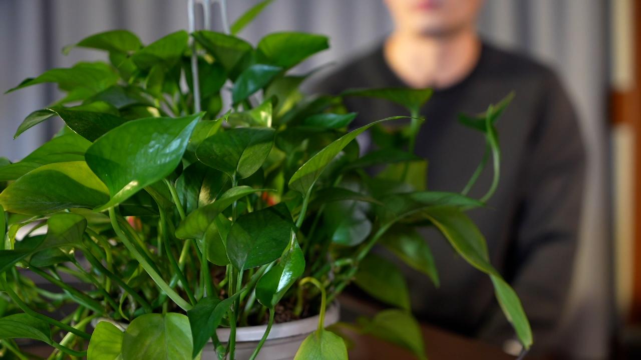 兼职模特的十大套路,高薪兼职模特真没有那么简单