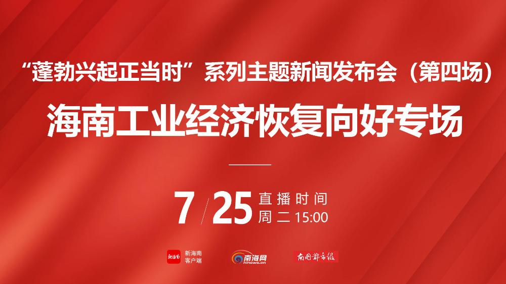 2019海南制造业增加值,海南2024年工业增加值