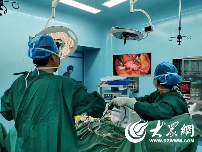 特色专科院校,特色专科推荐