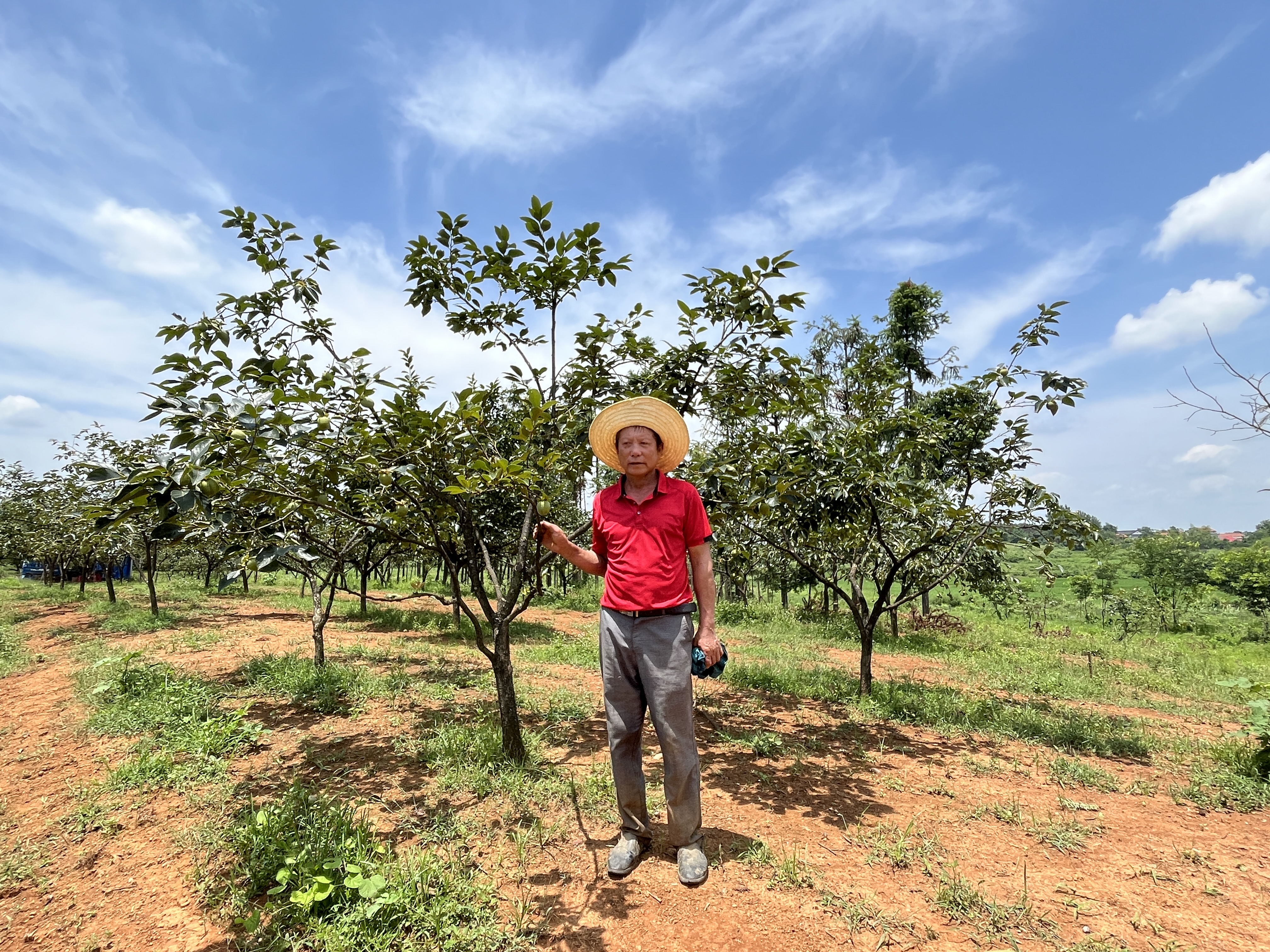18年，咸安六旬农夫陈安晚造出“田园梦”