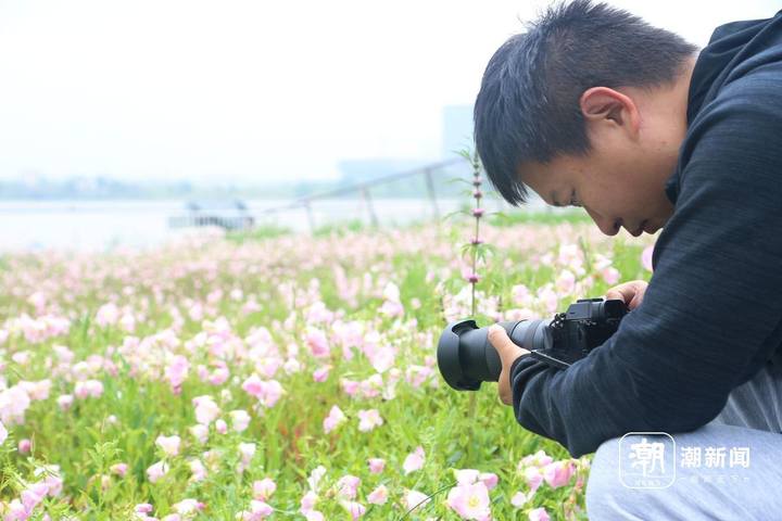浙江龙游文旅的亮点是什么,浙江龙游文旅特色亮点