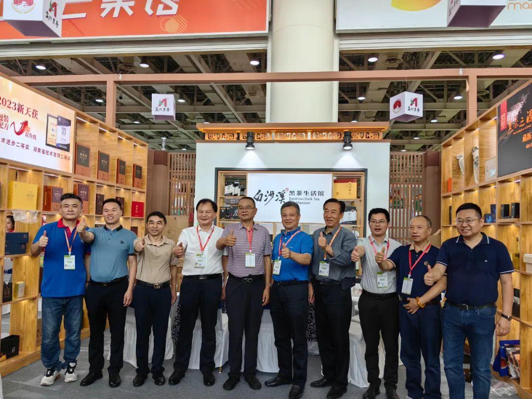 湖南茶叶博览会2023,2021年湖南茶业博览会