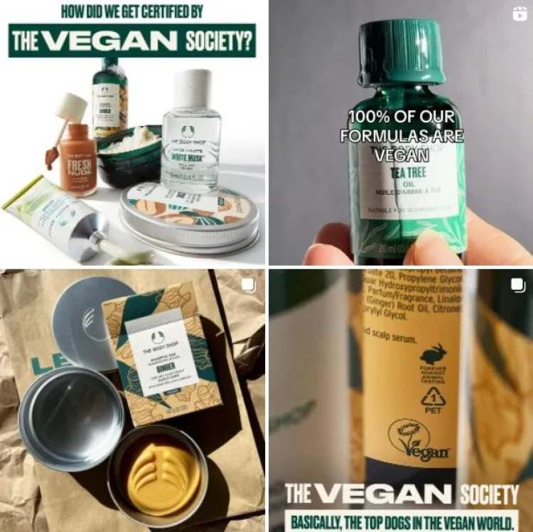 最早塌房的男网红,初代网红死而复生