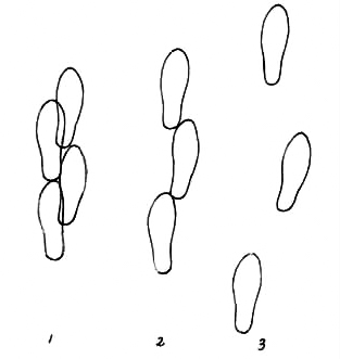 图说中国历代服饰,礼仪之邦华夏之服
