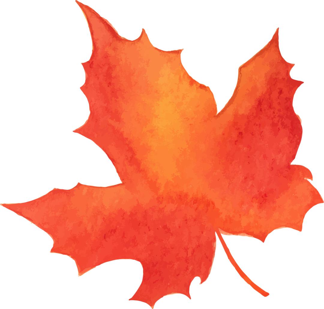 笋干炒莲藕,周宁笋干肉包