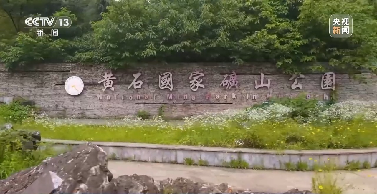 石缝种植植物,石缝种树