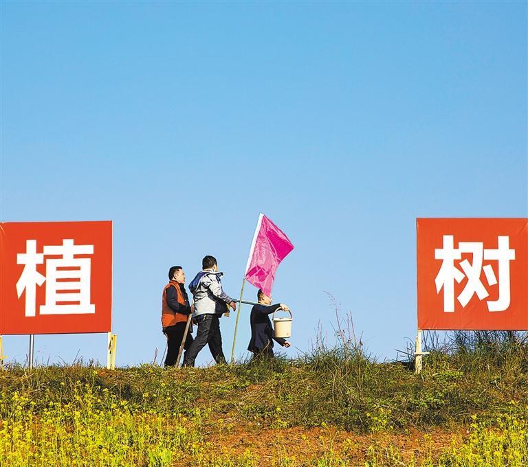 低碳生活做法,低碳生活方式有哪些