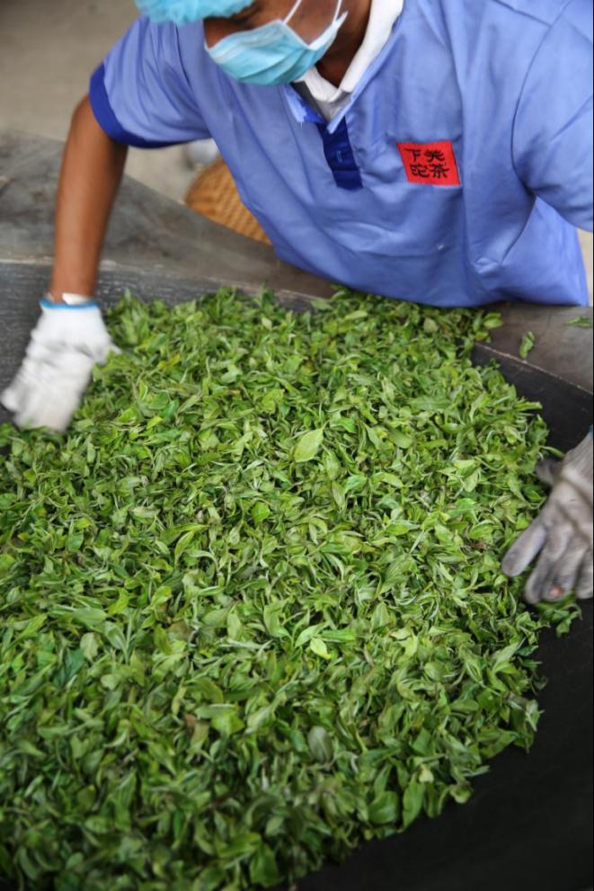 请你喝一杯普洱茶完整版,请你喝一杯普洱