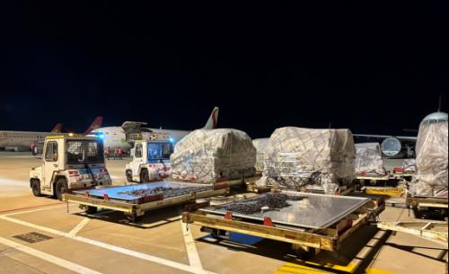 海航航空国际航线,海航旗下天津航空和南航哪个好