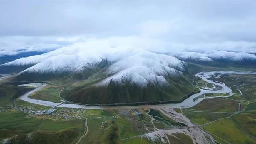 雪豹麦多,世界雪豹日特辑