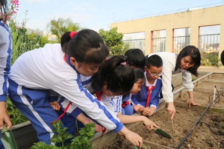 春暖花开，“植”得期待！南油小学“优优农场”春播啦！