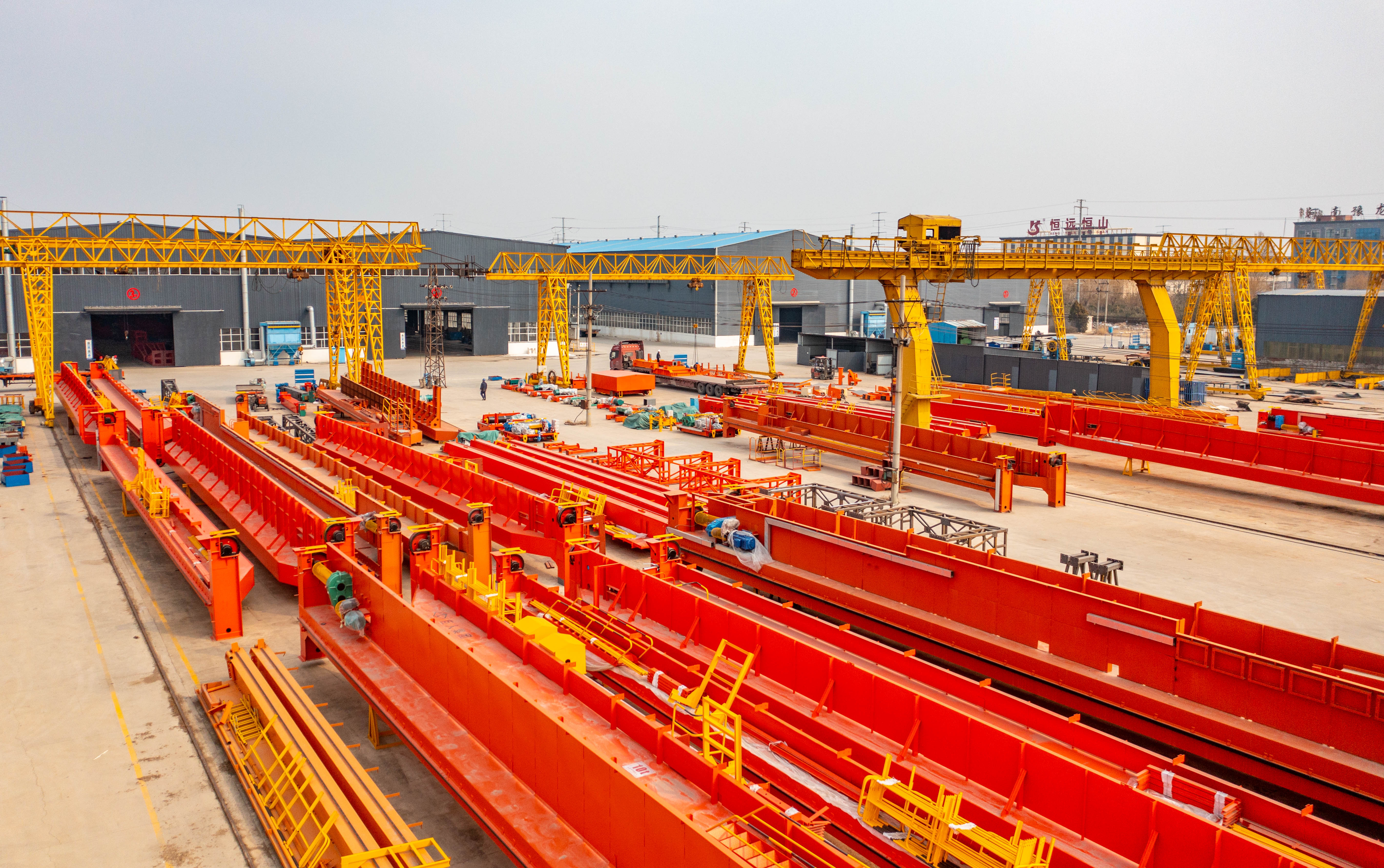 河南向新而生,向新而生完整视频