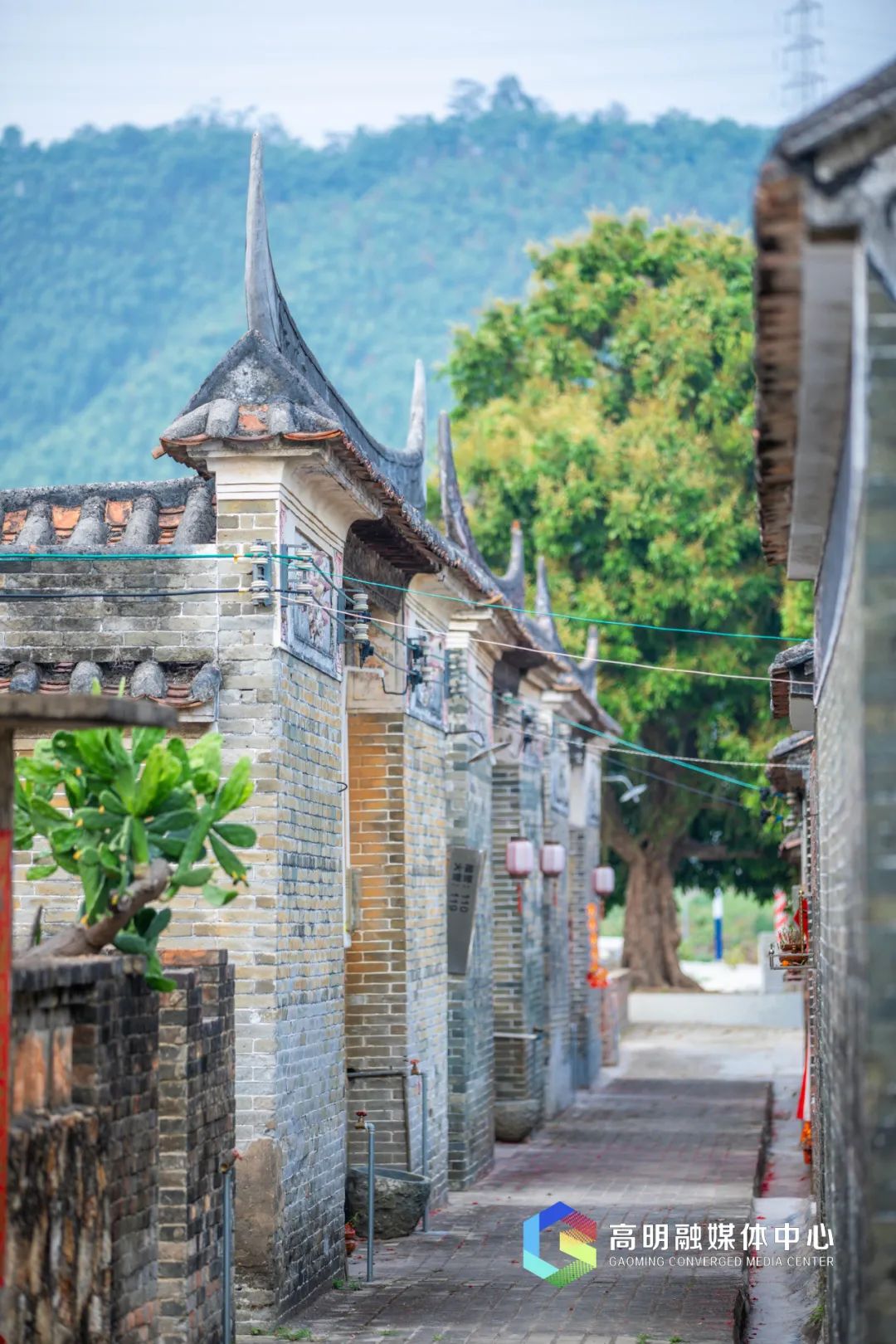 佛山最值得逛的古村,佛山有没有好玩的乡村古镇