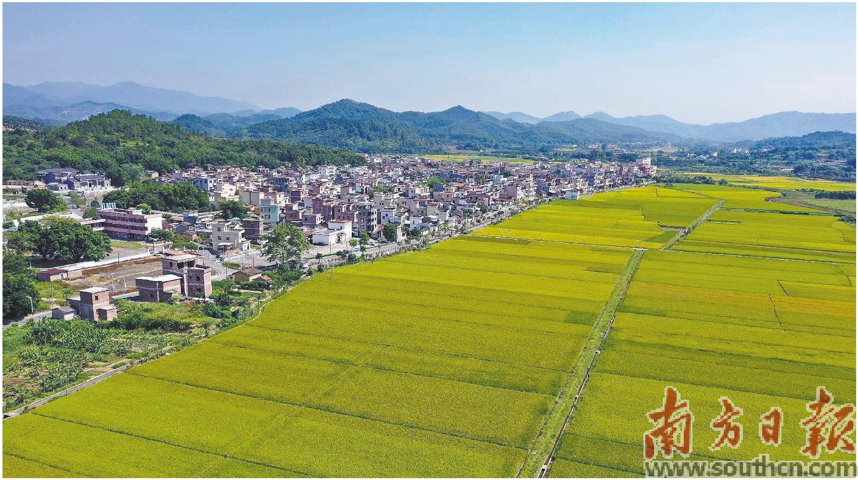 镇平三产融合示范园建设,东成镇发展规划