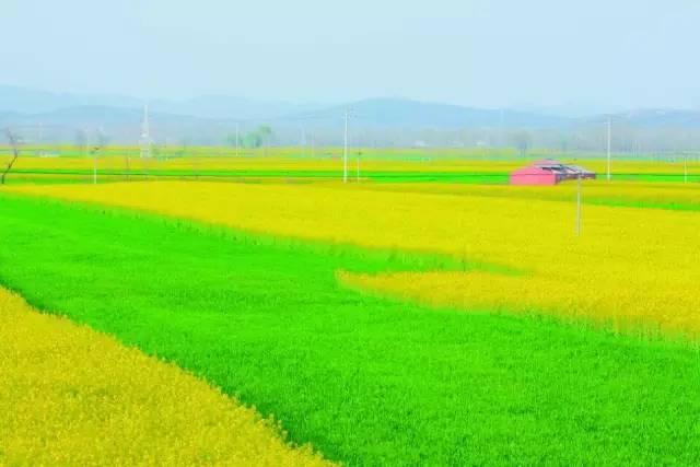 宜城过年气氛,宜城年味